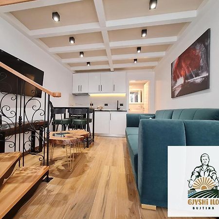 Hotel Bujtina Gjyshi Ilo Tushemisht Exteriér fotografie