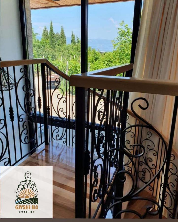 Hotel Bujtina Gjyshi Ilo Tushemisht Exteriér fotografie