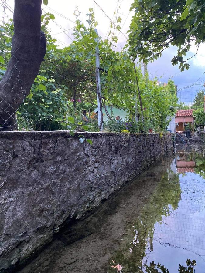 Hotel Bujtina Gjyshi Ilo Tushemisht Exteriér fotografie