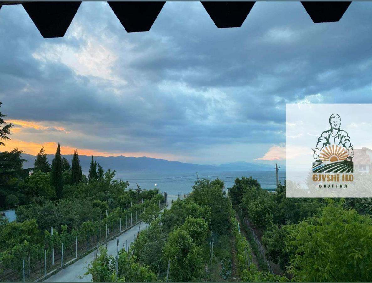 Hotel Bujtina Gjyshi Ilo Tushemisht Exteriér fotografie