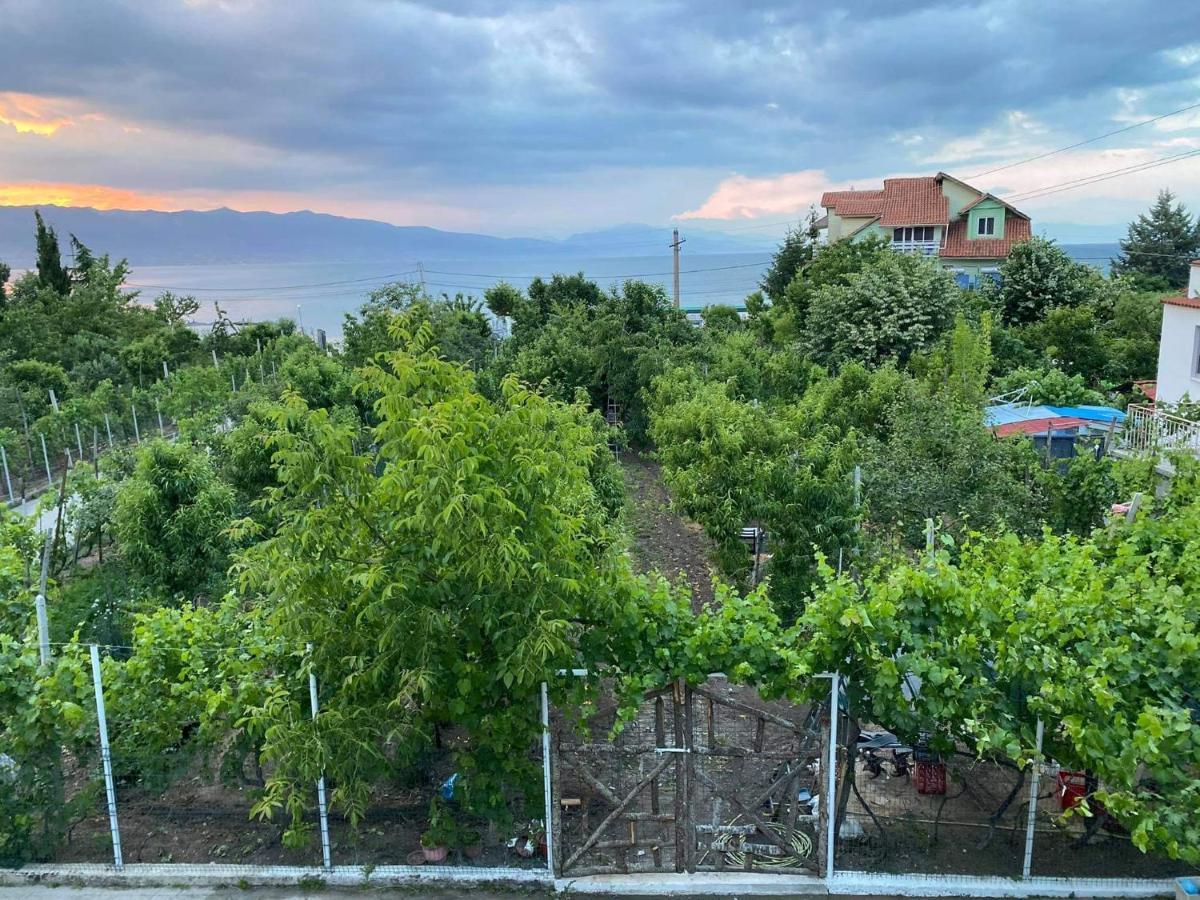 Hotel Bujtina Gjyshi Ilo Tushemisht Exteriér fotografie