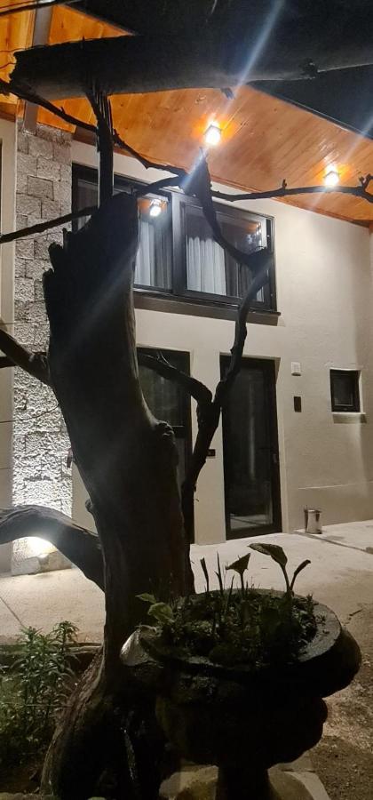 Hotel Bujtina Gjyshi Ilo Tushemisht Exteriér fotografie
